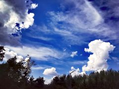 -长春公园(普阳街道)