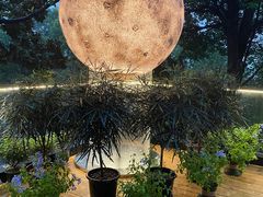 -恬阿姨庭院餐厅·生日宴