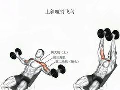 -INGYM(园区印象城馆)