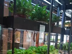 -番食园鲜食火锅(高新店)