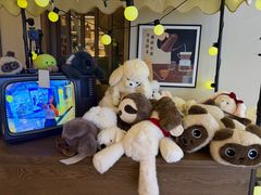 -樟宜机场皇冠假日酒店 （SG Clean） - IHG 旗下酒店