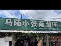 -马陆小张葡萄园农家乐