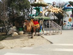 -西安秦岭野生动物园