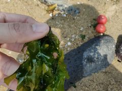 -白沙门生态公园