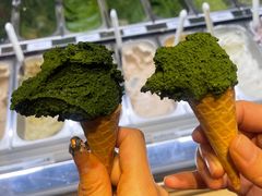 -鹤茶野所(上海首店)