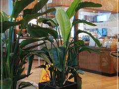 -去茶山(重庆万象城店)