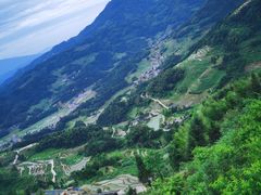 -紫鹊界梯田景区