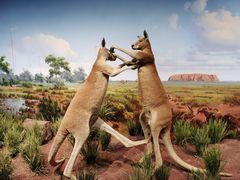 -陕西自然博物馆