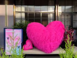 -花隐·美芙炫海菲秀皮肤管理中心