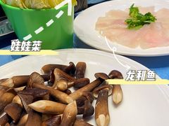 -千岛蚝高压锅生蚝·人参火锅(白云万达店)