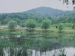 -南京市无想山景区