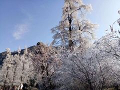 -九华山友谊土菜馆 小资餐厅