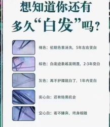 -Bollins波林丝•专研护发中心