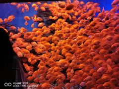 -多彩贵州城极地海洋世界