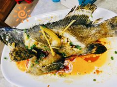 石斑鱼清蒸-四川小胡子海鲜(丁村万人海鲜广场店)