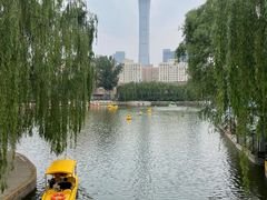 -团结湖公园