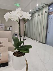 -Yestar艺星整形美容医院