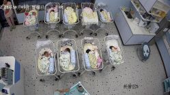 -安雅国际月子会所(拱北森宇富通店)