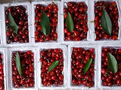 -新影联鸿泰影城