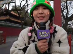 -北京国子监胡同