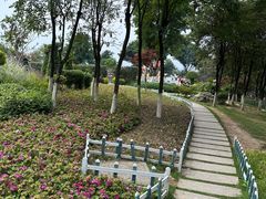 -铁山坪森林公园