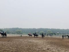 -月河湾马术俱乐部(朝阳店)