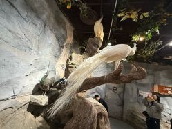 -Zoolung Zoolung动物主题公园(海信广场店)