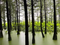 -云龙湖旅游景区