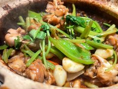 啫啫牛蛙-煲煲好(朝阳门店)