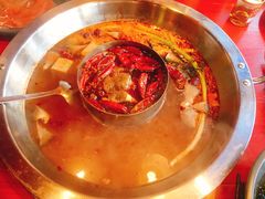 谭血鸭红锅底-谭鸭血老火锅(漳州路店)