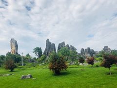 -元谋土林景区(物茂土林)