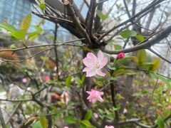 -白塘生态植物园