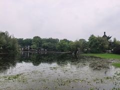 -朴园
