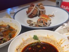 -杨氏青龙虾·羊蝎子(托乐嘉店)
