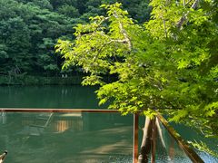 -龙道沟景区