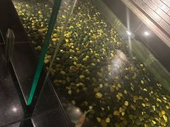 -晶采轩(虹桥路店)