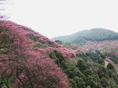 -蒋氏故居