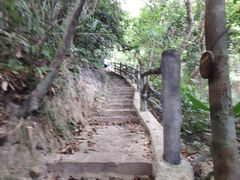 -海南热带雨林国家公园吊罗山景区