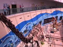 -陕西自然博物馆