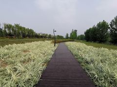 -洨河生态公园