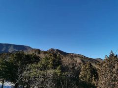 -大觉寺-停车场