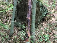 -藏龙百瀑风景区