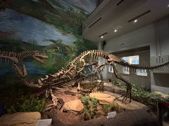 -自贡恐龙博物馆
