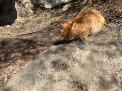 -终南山南五台景区