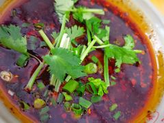 -汝萍传统蘸水菜(春华路总店)