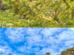 -丹东凤凰山景区