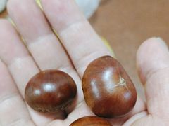 -粒上皇(湛江兴华广场新店)