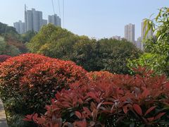 -龙头寺公园
