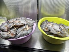 -杨合林啊兰烤鱼