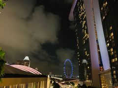 -新加坡摩天观景轮